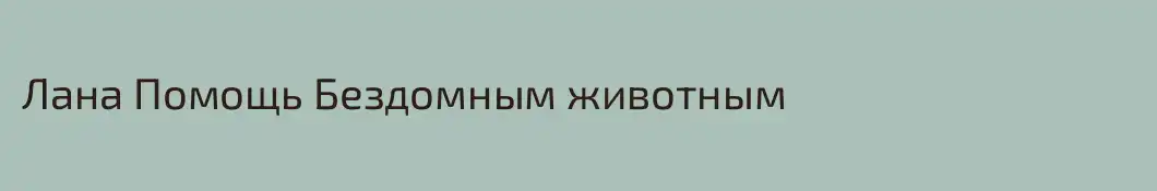 Лана Помощь Бездомным животным 